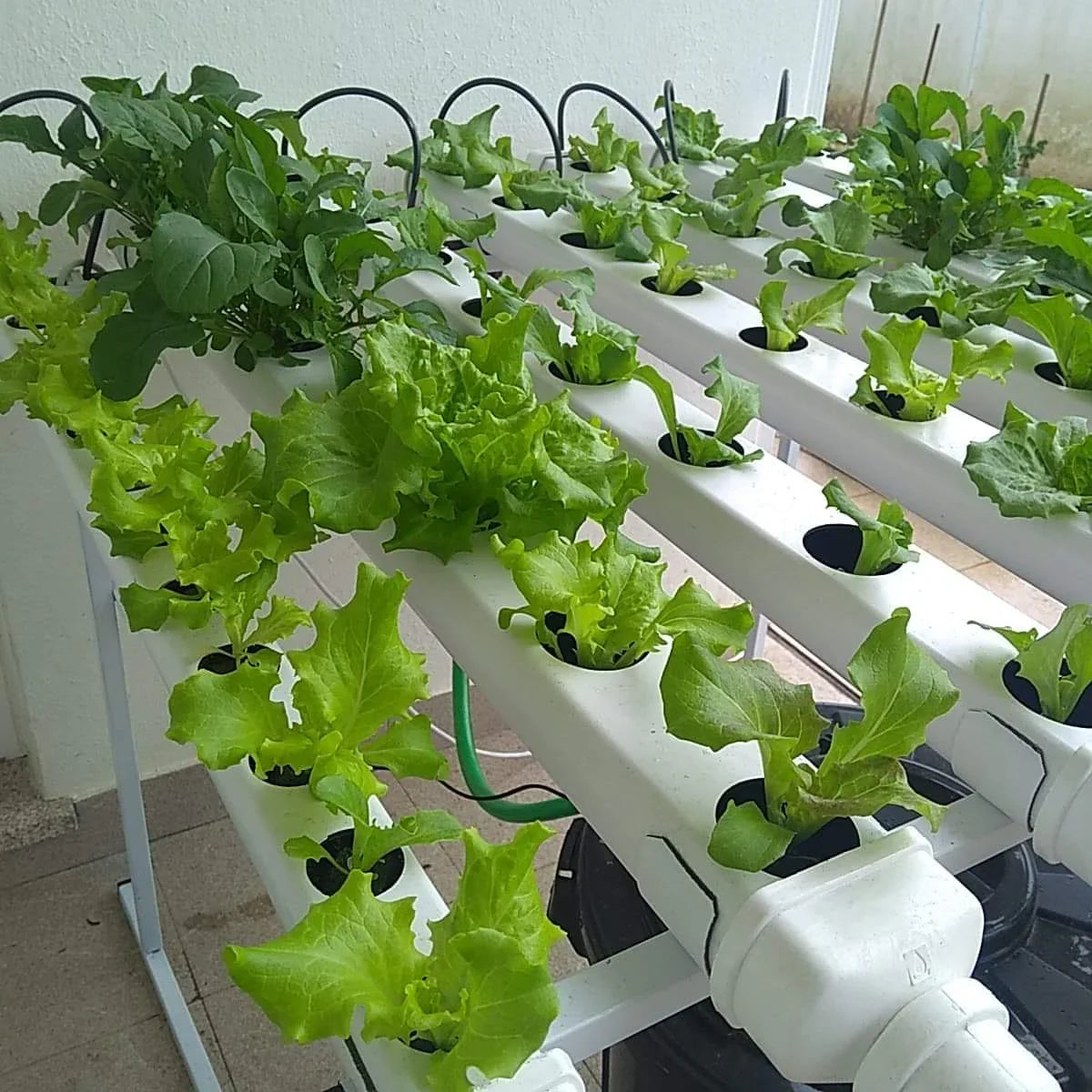 Hydroponic Systems